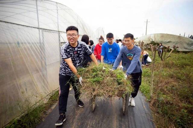 走进田间，“劳”获金秋——西南财经大学“社会大课堂”生产劳动实践暨广汉市大学生劳动教育实践基地启动仪式举行