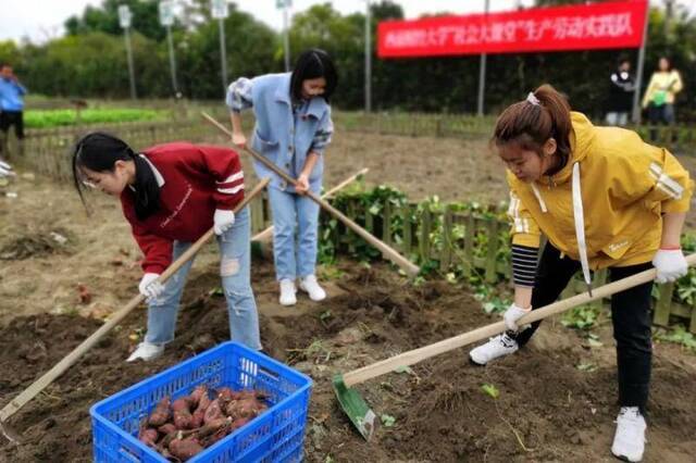 走进田间，“劳”获金秋——西南财经大学“社会大课堂”生产劳动实践暨广汉市大学生劳动教育实践基地启动仪式举行