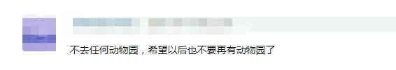 动物伤人致死事件后 “该不该存在动物园”再掀讨论