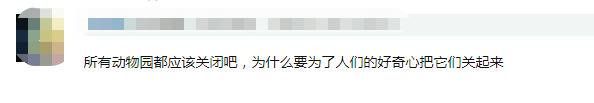 动物伤人致死事件后 “该不该存在动物园”再掀讨论