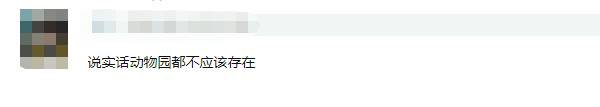 动物伤人致死事件后 “该不该存在动物园”再掀讨论