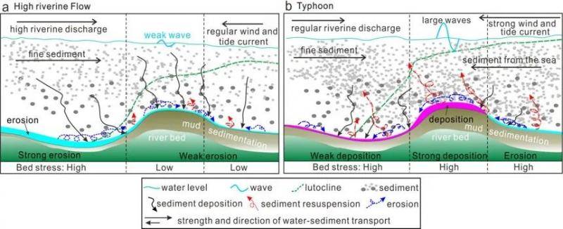 ▲图2.高流量（a）和台风事件（b）导致的河口动力-沉积-地貌变化格局