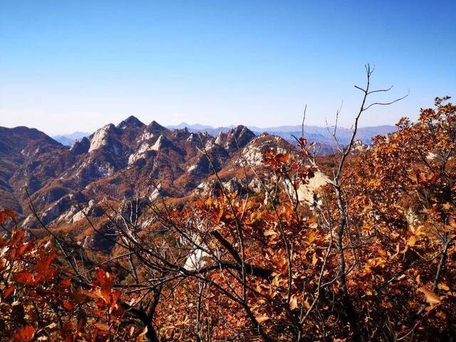 金秋时节，密云区云蒙山景区层林尽染。密云区文旅局供图