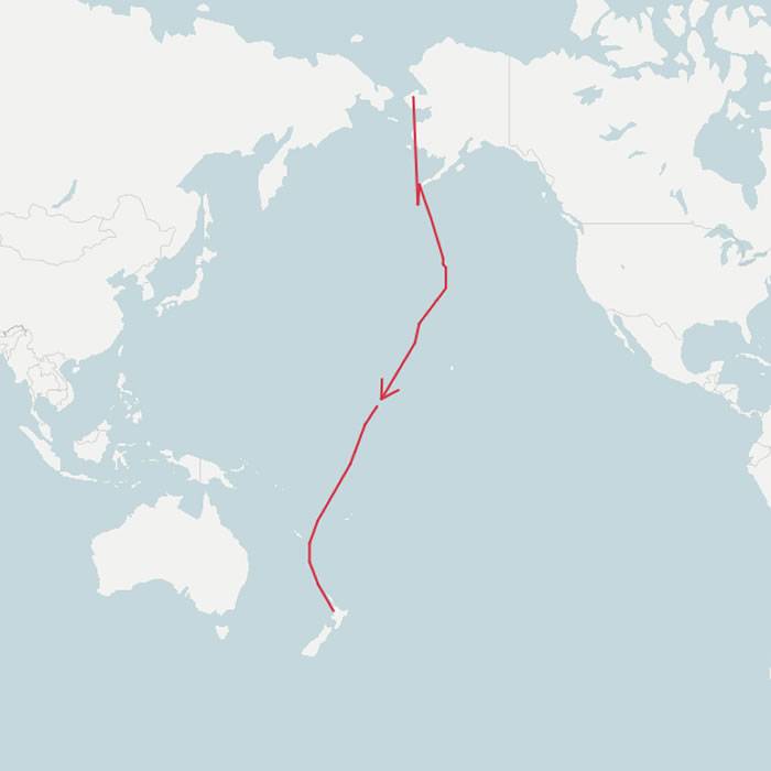 一只雄性斑尾塍鹬连飞12200公里从阿拉斯加飞到新西兰打破候鸟单次飞行距离纪录