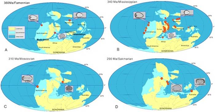 介形类Cribroconcha属种在晚泥盆世-早二叠世的古地理分布