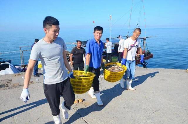 王雷涉黑组织覆灭后，潍坊海域恢复了正常的渔业生产秩序。图为潍坊市滨海区渔民正在将刚捕捞的梭子蟹搬运上岸。