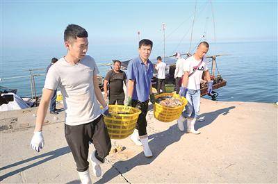 王雷涉黑组织覆灭后，潍坊海域恢复了正常的渔业生产秩序。图为潍坊市滨海区渔民正在将刚捕捞的梭子蟹搬运上岸。胡骁摄