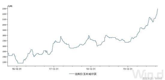 哈尔滨等地玉米出库价（单位：元/吨）