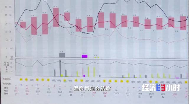 丰收时节冷空气频袭 这个地方却亩产增130斤咋回事？