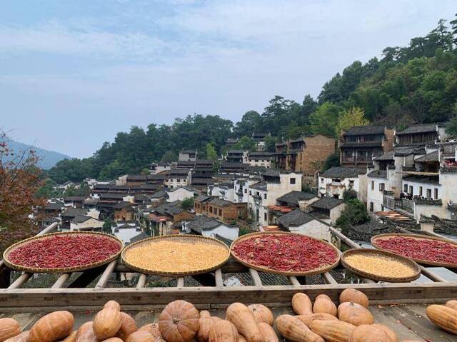 到此一游｜住进十月最美的古村落，看红红火火篁岭晒秋