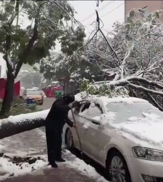 甘肃发布多地暴雪蓝色预警，交警在山区路段设岗劝返车辆