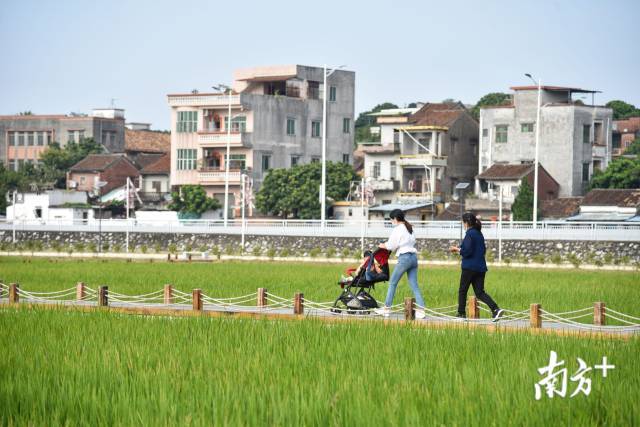 制造名城的田园文章：美丽乡村风情串珠成链，都市田园风光魅力足