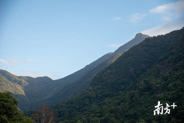 制造名城的田园文章：美丽乡村风情串珠成链，都市田园风光魅力足