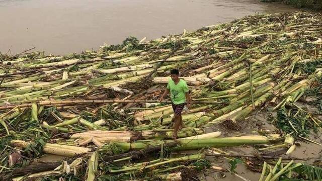 台风“莫拉菲”登陆菲律宾 致3人死亡 超过90万人受灾