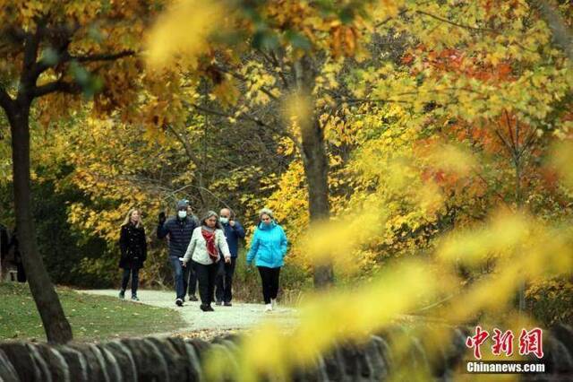 资料图：当地时间10月24日，加拿大多伦多，市民周末在市内一处公园漫步。中新社记者余瑞冬摄