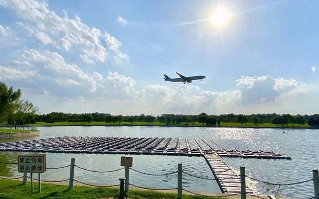 首都机场附近的西湖是飞友们拍飞机的打卡地，如今这里又添新景观，部分水面上浮漂着光伏发电板。首都机场供图