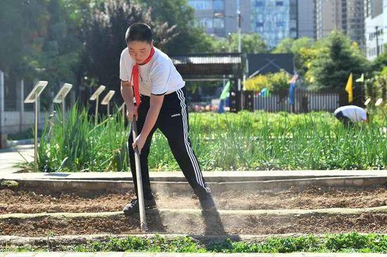 陕西省西安市小雁塔小学组织学生进行农耕劳作体验。西安市小雁塔小学自2016年开始在校内开辟农耕劳动实践基地，学生们在专业人员的指导下定期劳作，体验农耕文化，培养节约理念。新华社记者张博文摄