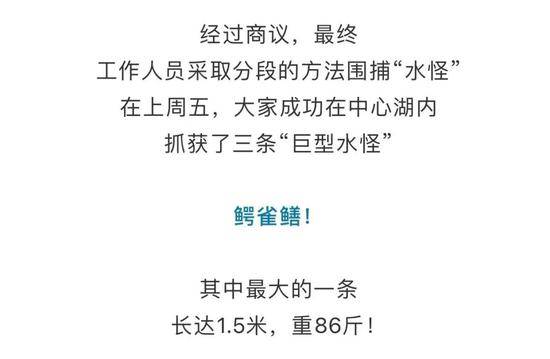 广州公园湖内惊现巨型“食肉水怪”？缉拿归“岸”！