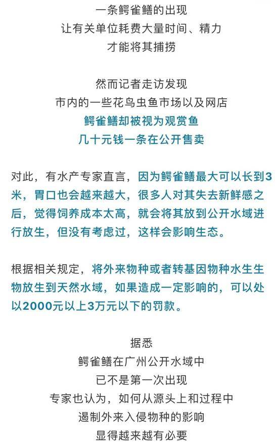 广州公园湖内惊现巨型“食肉水怪”？缉拿归“岸”！