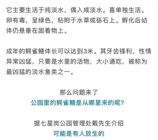 广州公园湖内惊现巨型“食肉水怪”？缉拿归“岸”！