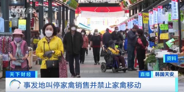 又检出H5N8型高致病性禽流感病毒！韩国全国菜市场已禁止销售...