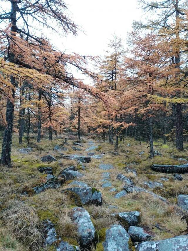 无限风光在险峰！兰大“峰人”带你饱览不一样的美景~