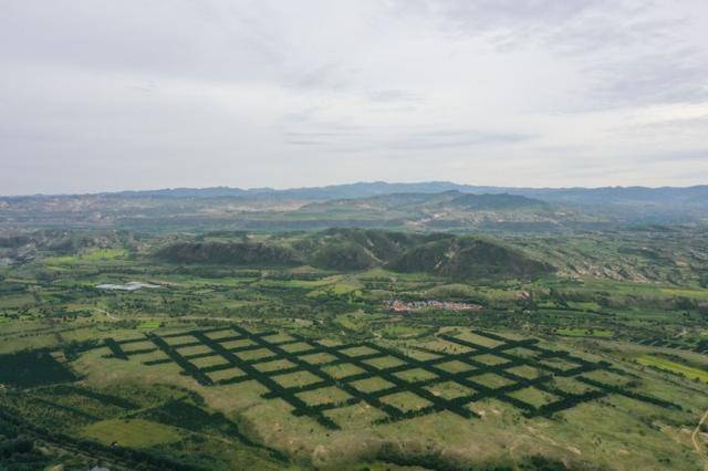 沙地变绿野，这是在内蒙古克什克腾旗拍摄的一处沙地治理后的状况。（图源：新华社）