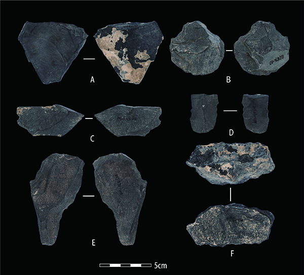 白石崖溶洞遗址发现的石制品。摄影：韩源源；版权：张东菊，兰州大学