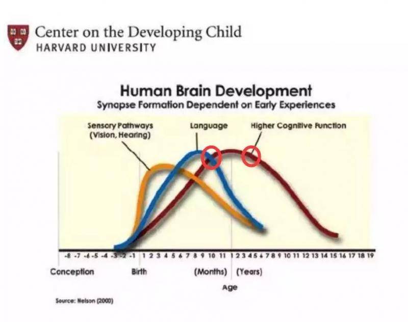 ▲红色曲线代表孩子的“认知能力”