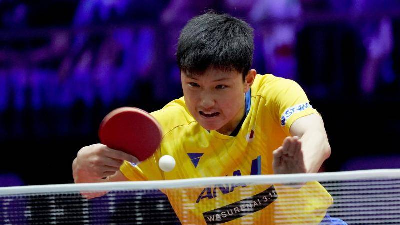 张本智和是本届世界杯国乒最强对手。资料图片/Osports