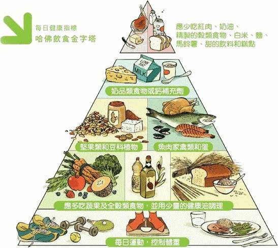 饮食金字塔。中国科学院大学重庆医院（重庆市人民医院）供图