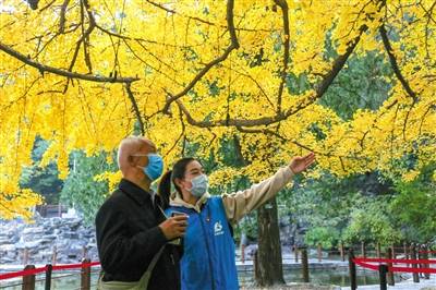 北京：五类工作人员服务保障香山红叶期