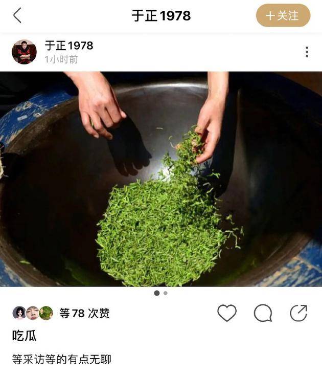 于正绿洲晒炒绿茶图