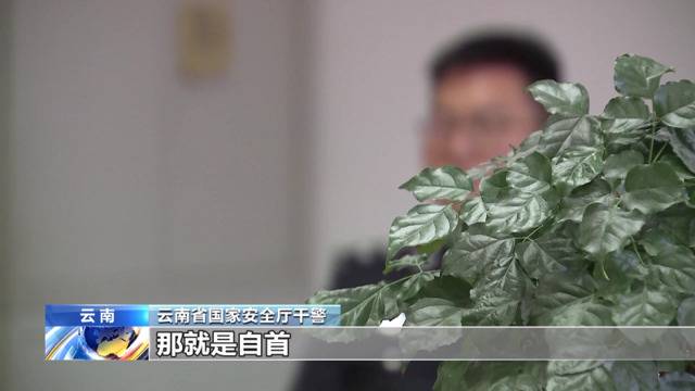 妻子境外留学偶遇“翩翩君子”？小心陷阱！我国一批重大间谍案件告破！