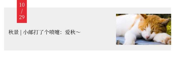 今 日 立 秋 ！