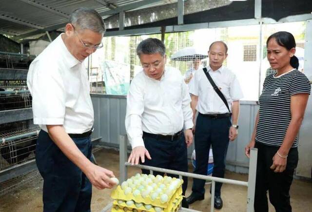 前一天还在出席会议的“海南虎”落马，曾在海外留学工作8年