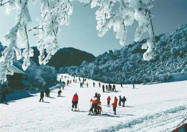 冬季在金佛山玩雪南川区委宣传部供图