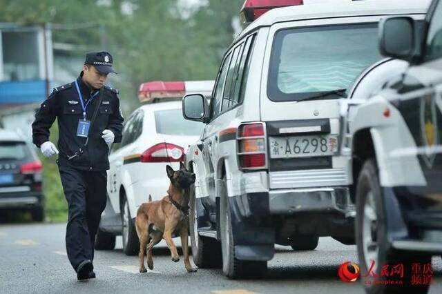 警犬进行车辆搜爆比拼重庆市公安刑侦总队供图