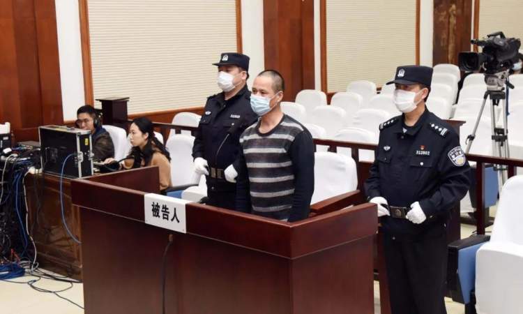 一男子在崇明非法捕杀109只野生鸟类，被判刑10个月!