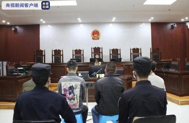 运送118名越南人偷越国境 7名被告人最高获刑7年6个月