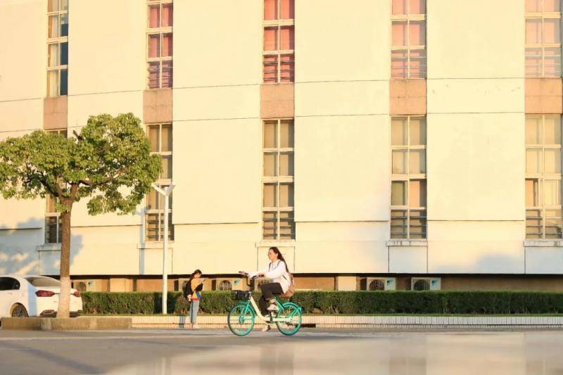 我们的快乐很简单，比如走在风和日丽的上大园