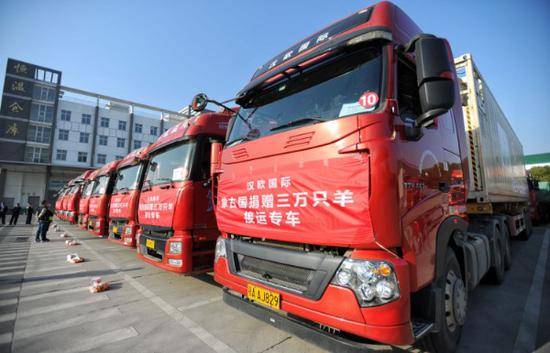 10辆接运蒙古羊的冷柜车从武汉东西湖保税物流中心出发。