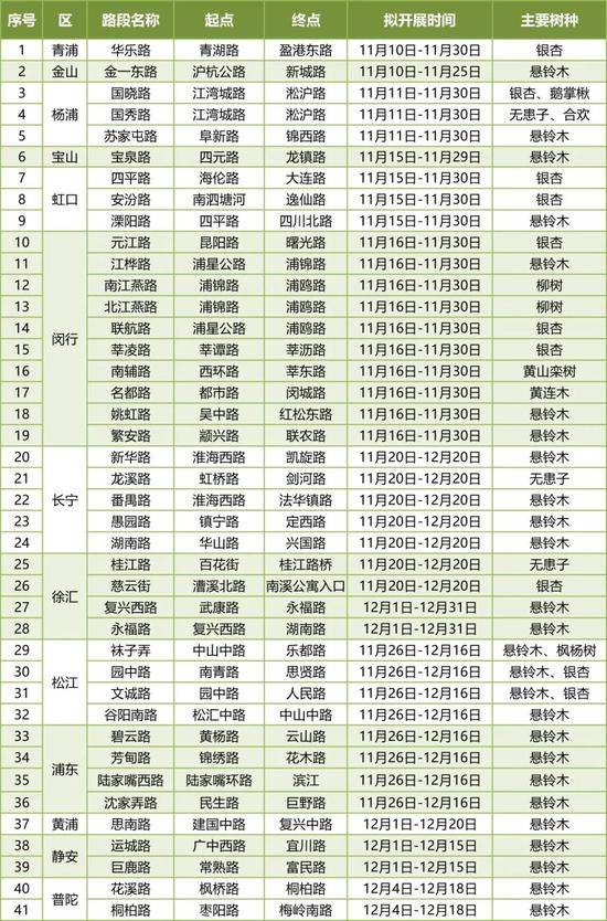 上海今年41条落叶不扫景观道公布 其中2条明天就启动