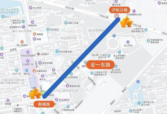 上海今年41条落叶不扫景观道公布 其中2条明天就启动