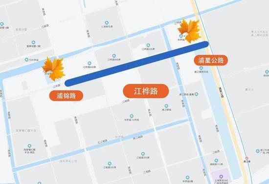 上海今年41条落叶不扫景观道公布 其中2条明天就启动