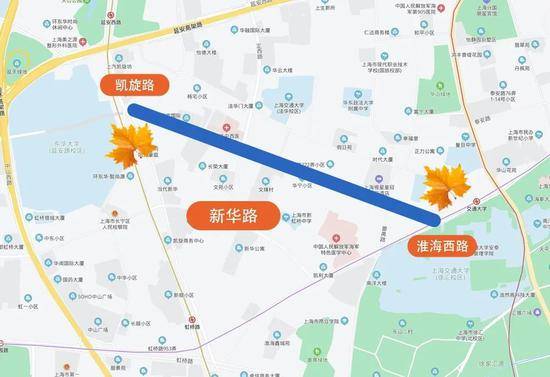 上海今年41条落叶不扫景观道公布 其中2条明天就启动