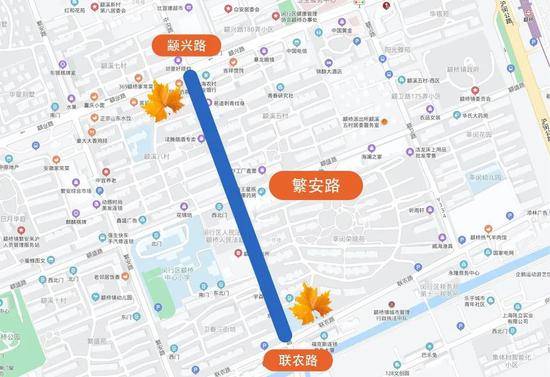 上海今年41条落叶不扫景观道公布 其中2条明天就启动