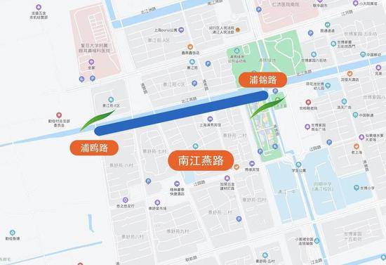 上海今年41条落叶不扫景观道公布 其中2条明天就启动