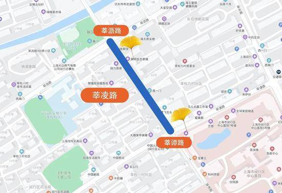 上海今年41条落叶不扫景观道公布 其中2条明天就启动