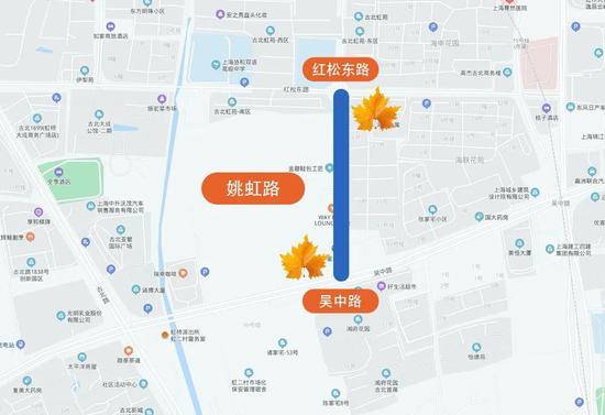 上海今年41条落叶不扫景观道公布 其中2条明天就启动